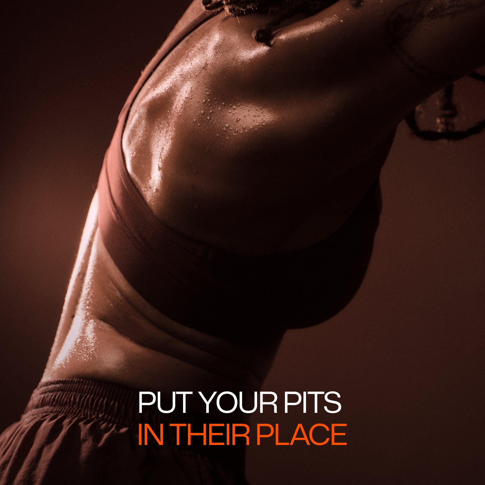 Santal Dune Starter Kit Bundle