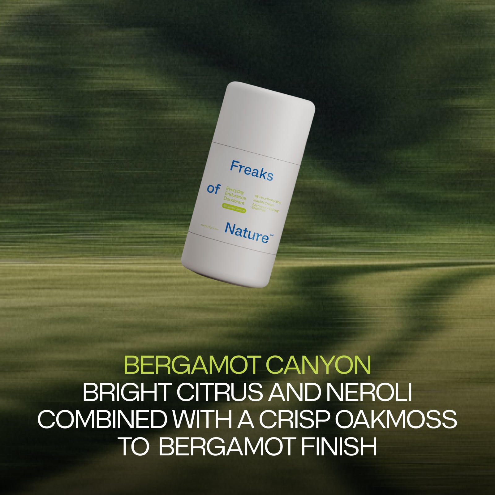 Bergamot Canyon Starter Kit Bundle