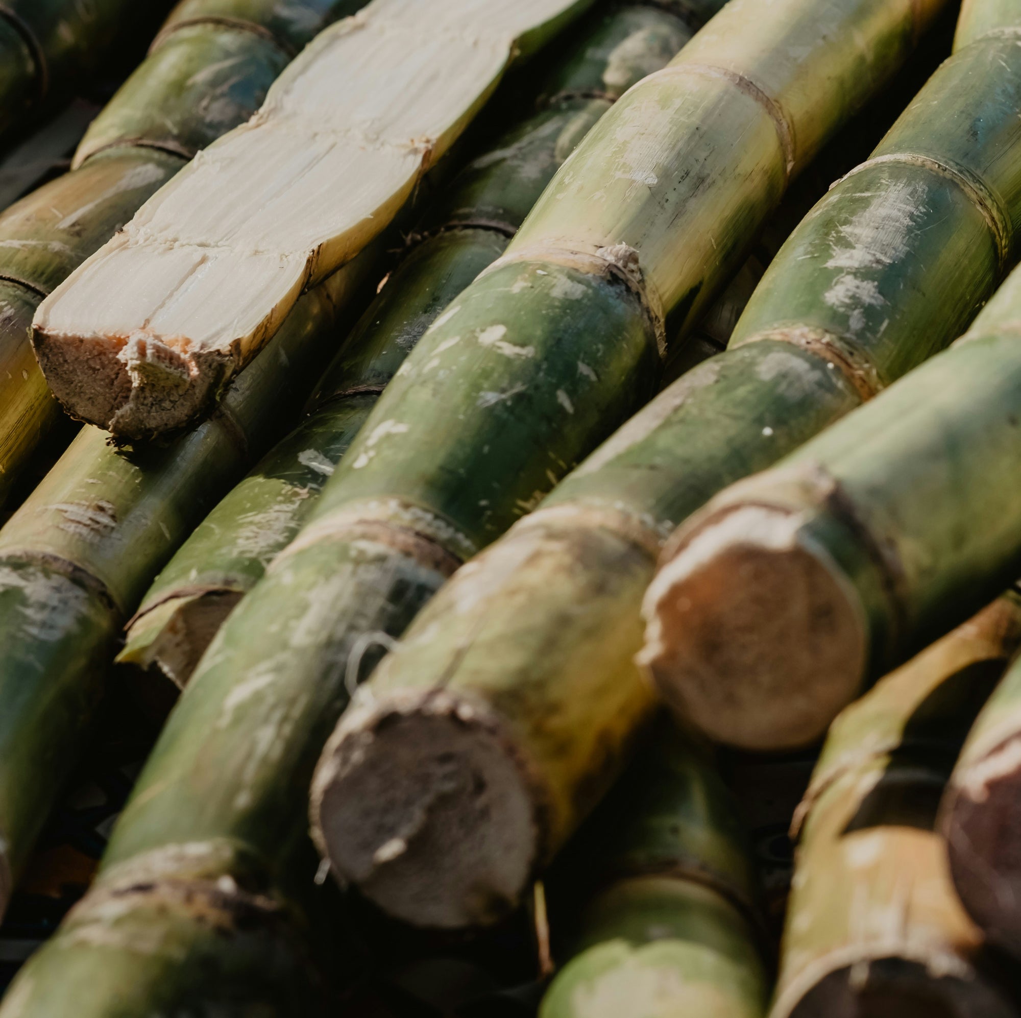 Bundles of freshly cut bamboo stalks with some ends exposed, showcasing the natural texture and greenish-yellow color. The stalks lie in various directions, highlighting their sturdy and fibrous nature.
