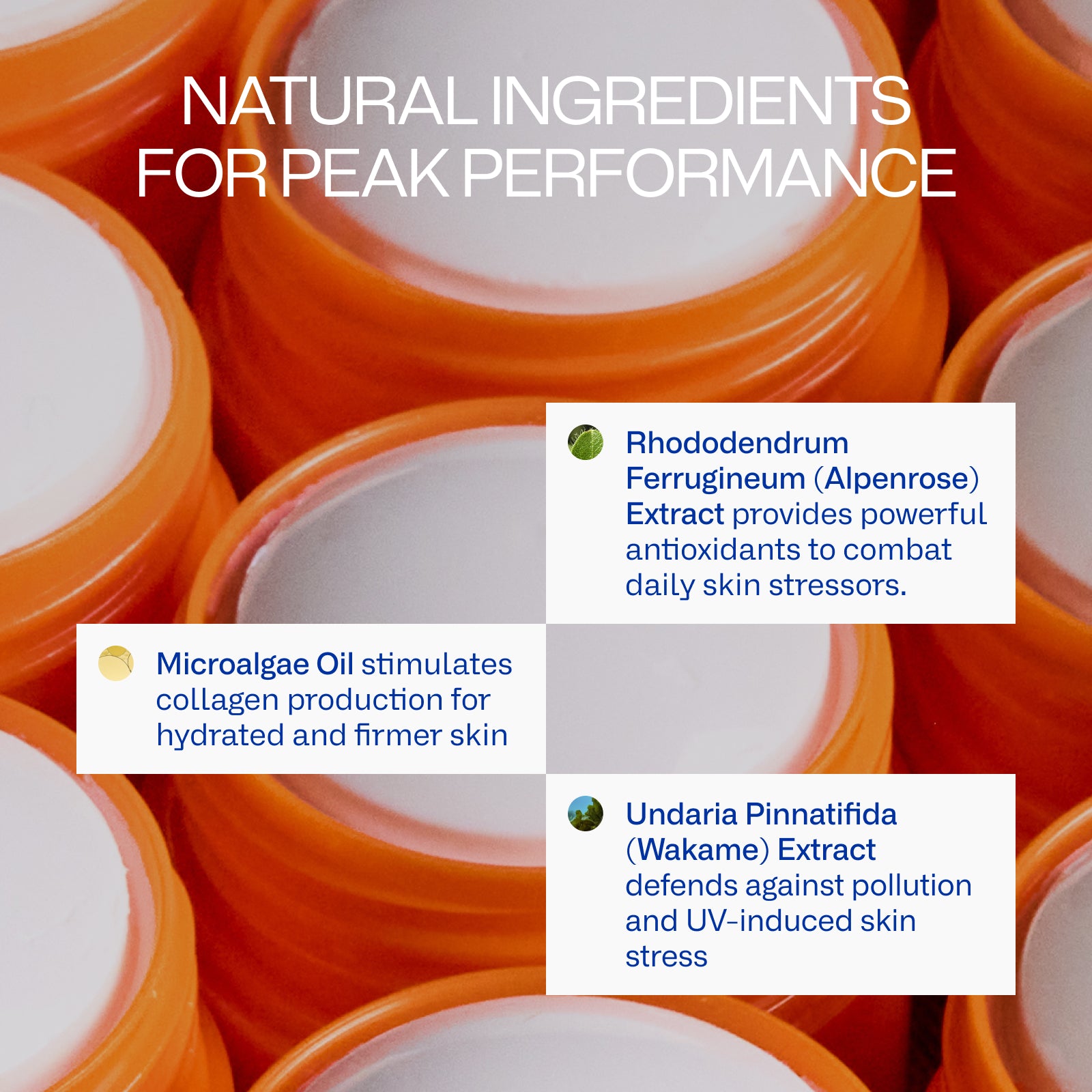 Peak Performance Sun Stick SPF50